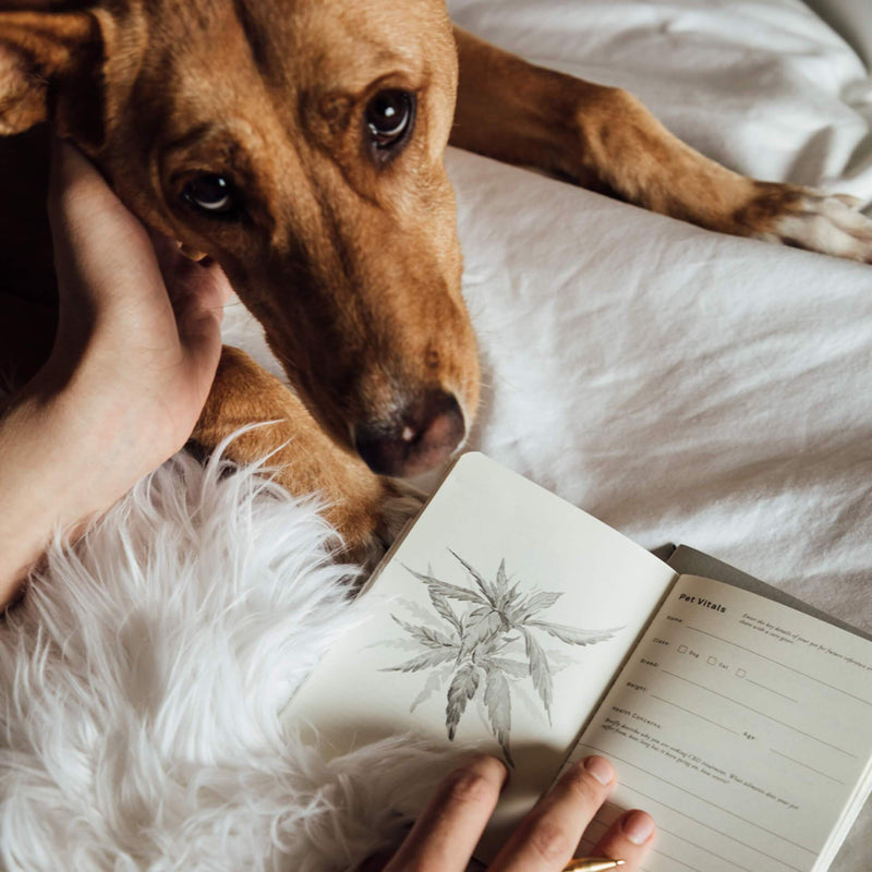 Goldleaf: The Pet CBD Jotter Journal