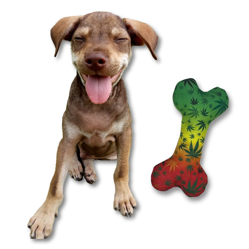 PAW:20 Stoned to the Bone Squeaker Dog Toy - 8"