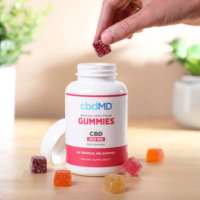 cbdMD Broad Spectrum CBD PM Sleep Gummies Raspberry - 750MG, 60ct - Headshop.com