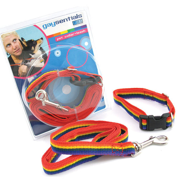 Gaysentials Rainbow Pet Leash/Collar Combo