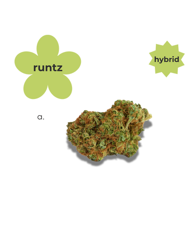 Go- Easy Hybrid ~ Runtz Pre Rolls