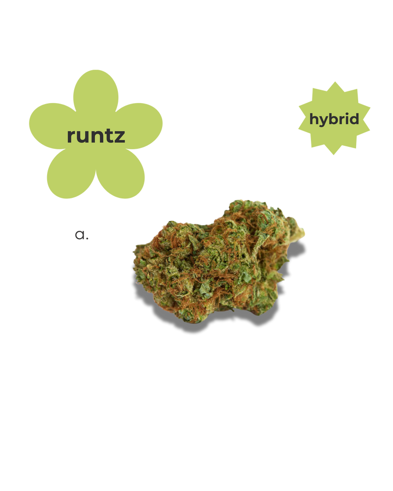 Go- Easy Hybrid ~ Runtz Pre Rolls