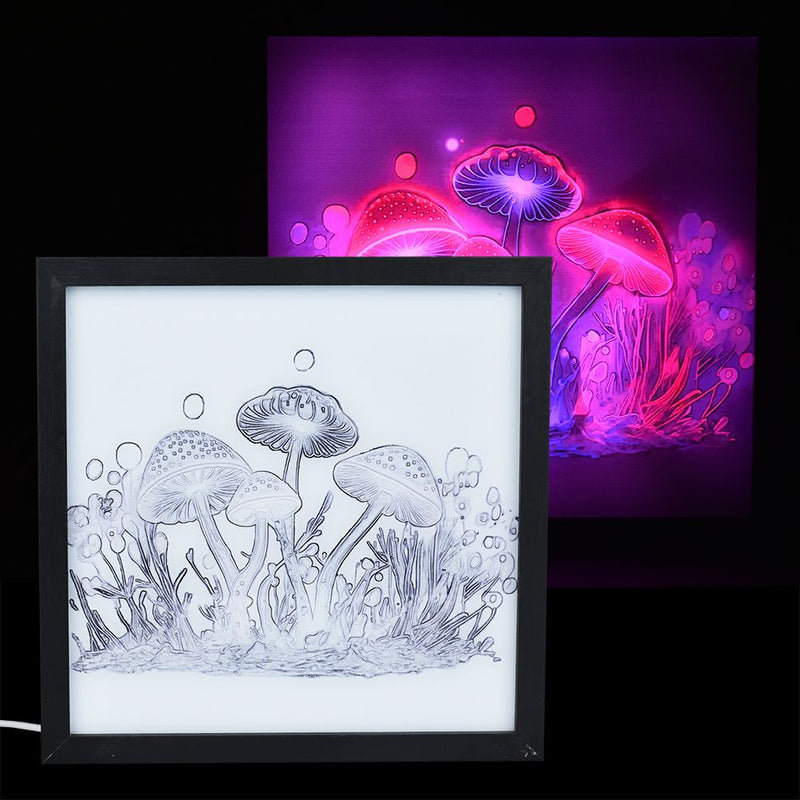 Mushroom Motion LED Light Box