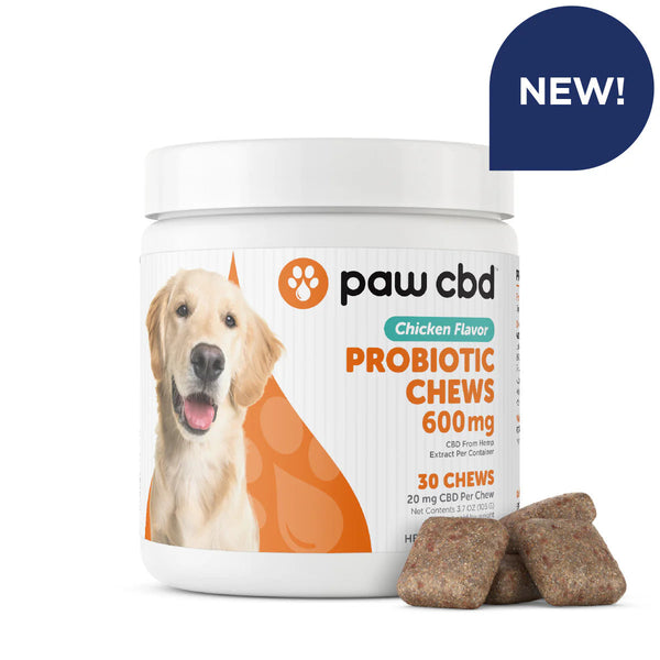 Paw CBD Digestive Probiotic CBD Dog Soft Chews - Chicken 600MG, 30ct