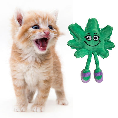 PAW:20 Lil ' MJ Catnip Cat Toy - 6"