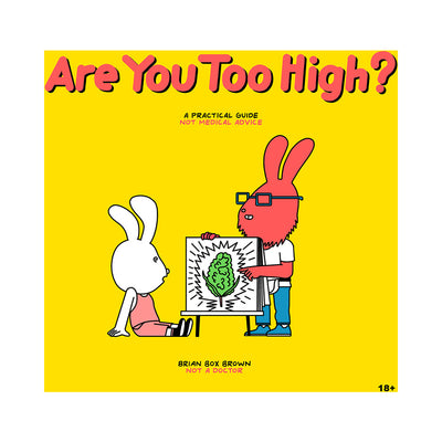 Are You Too High? A Practical Guide - Headshop.com