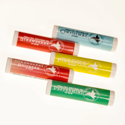 Lip Balm 200mg CBD | Carolina Cannabis Creations - Headshop.com