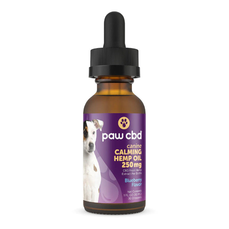 Paw CBD Calming Dog Tincture Blueberry w Melatonin - 250MG - Headshop.com