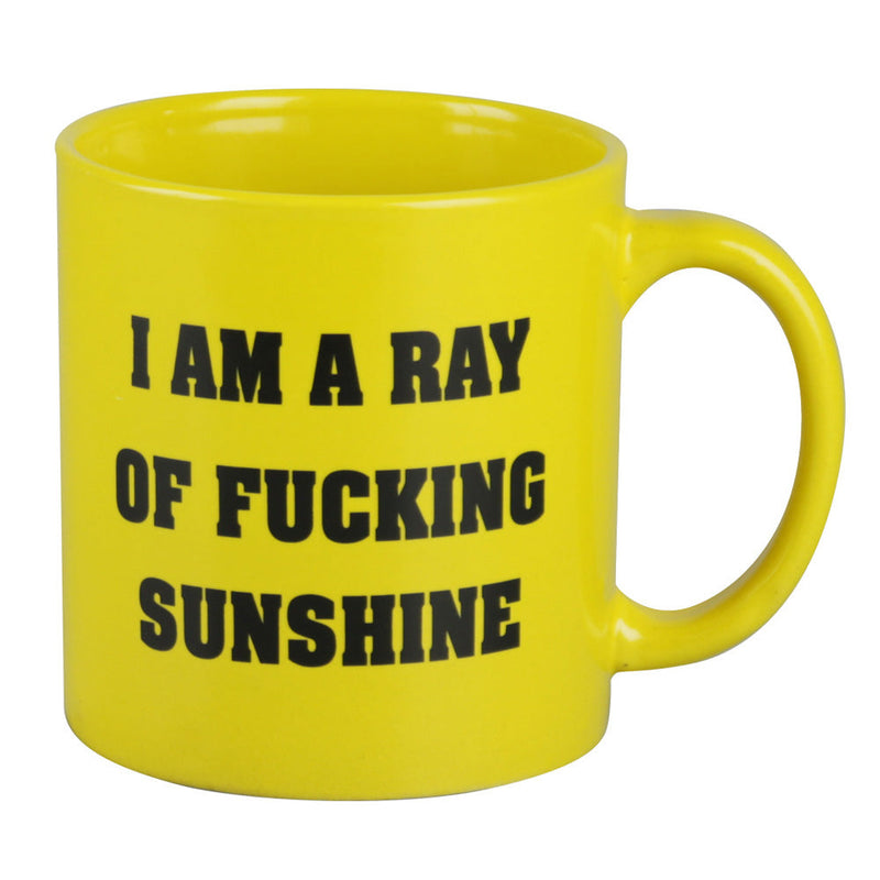 I am a Ray of Fucking Sunshine Mug - Headshop.com