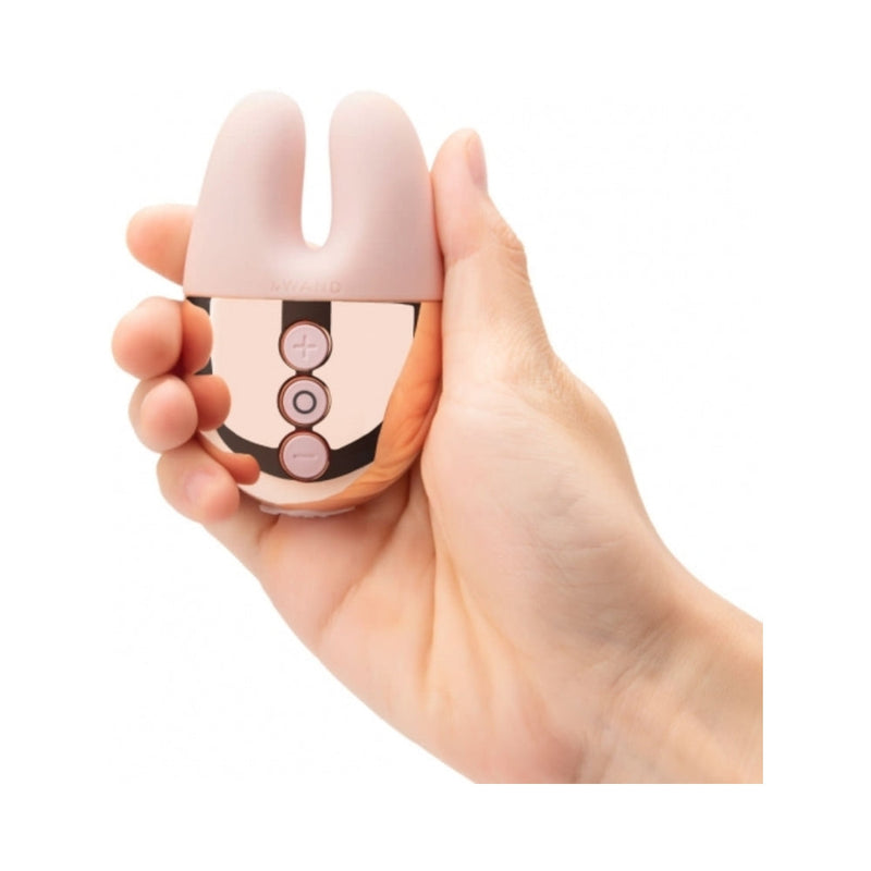 Le Wand Chrome Double Vibe Rechargeable Silicone Mini Vibrator Rose Gold